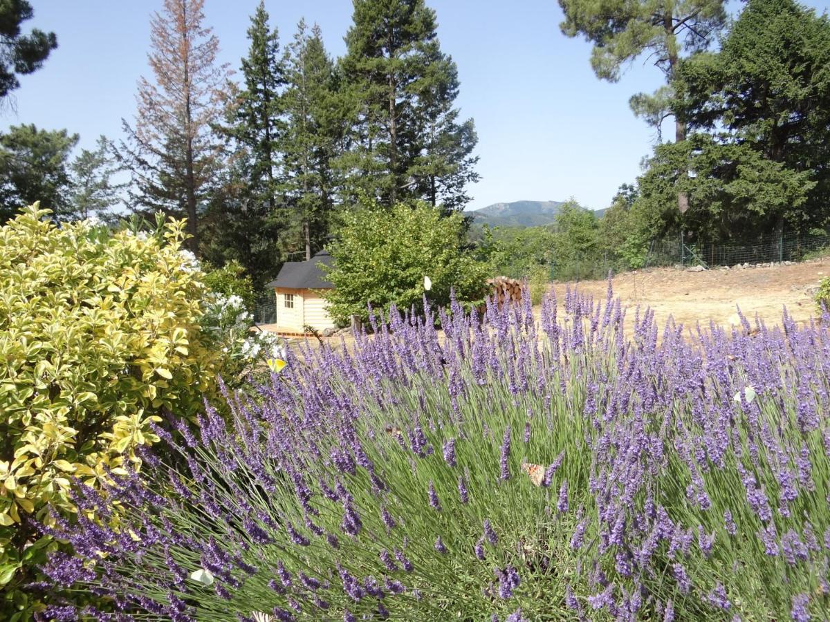 Bed and Breakfast Brin D Ardeche Lentilleres Экстерьер фото
